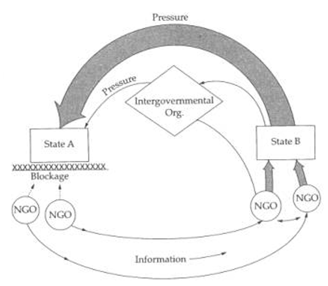 igee-2026-015f1.jpg